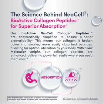 Collagen Peptide 10-Gramm-Stick-Packs, 20 Stick-Packs - Image 4