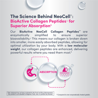 Collagen Beauty Infusion mit Hyaluronsäure + Biotin, Cranberry-Cocktail-Geschmack, 258 g Pulver - Image 8